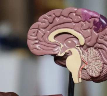 The Microbiome Revolution